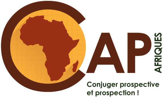 Centre d'analyse et de prospective sur les Afriques (CAP-Afriques)